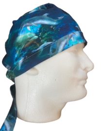Dolphins