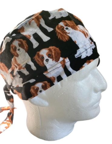 King Charles Cavalier Spaniel